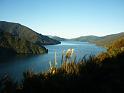 New_Zealand (314)